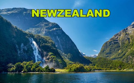 Why Newzealand is one of the best destination for senior citizens ?