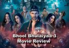 Bhool Bhulaiyaa 3: Movie  Review